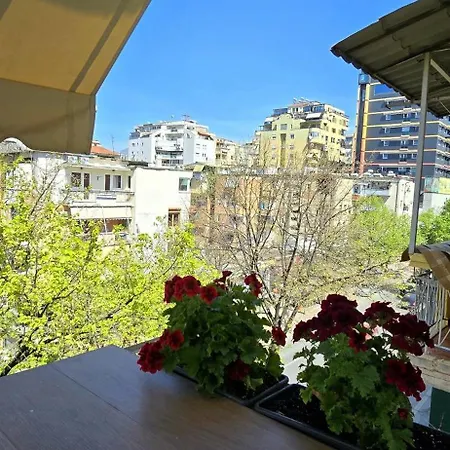 Arkle 3 * Тирана